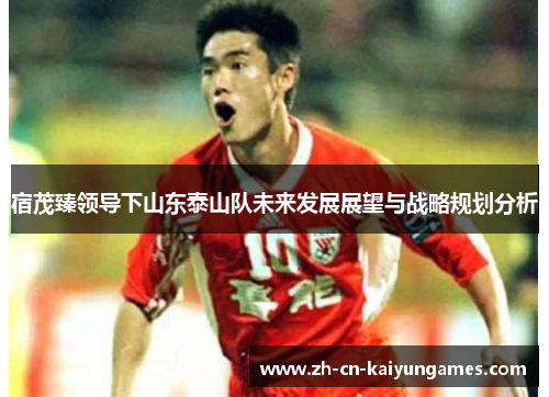 /uploads/images/20250620/su-mao-zhen-ling-dao-xia-shan-dong-tai-shan-dui-wei-lai-fa-zhan-zhan-wang-yu-zhan-lyue-gui-hua-fen-xi.webp